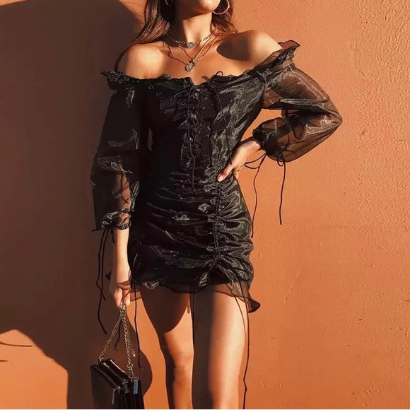 Mesh Lace-Up Drawstring Design Ruched Dress - Picture 4 of 4